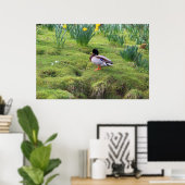 川の土手のマガモ ポスター (ホームオフィス)