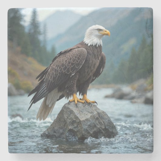 川の岩に生えるハゲのワシ ストーンコースター (正面)