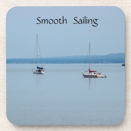 川の帆船 コースター (正面)