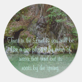 川の木の写真のシール ラウンドシール