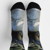 **「川の水に隠れて泳ぐカワウソ ソックス (上部)