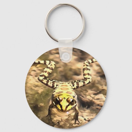 川の水のペンキに浸澄んされた泳ぐカエル キーホルダー (正面)