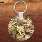 川の水のペンキに浸澄んされた泳ぐカエル キーホルダー (正面)