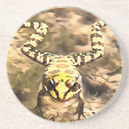 川の水のペンキに浸澄んされた泳ぐカエル コースター (正面)