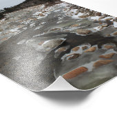 川の氷った足跡 フォトプリント            (角)