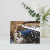 川の流れを越えて冬を過ごす ポストカード (スタンド正面)