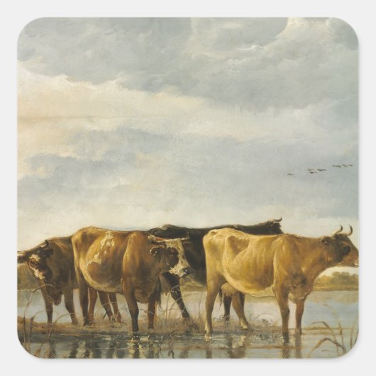 川の牛Aelbert Cuyp スクエアシール (正面)