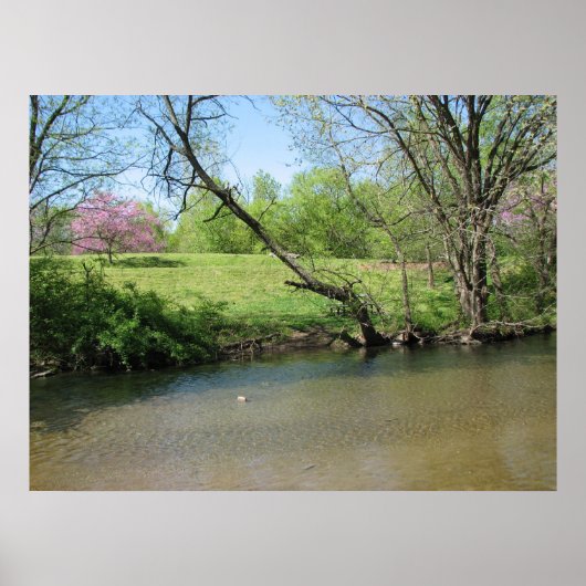 川の美しい景色 ポスター (正面)