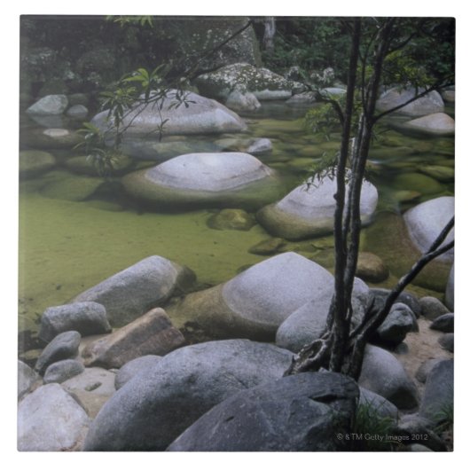 川の花こう岩の大きい石 タイル (正面)