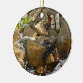 川はセメントのブロックおよびマングローブの実生植物を揺すります セラミックオーナメント (左)