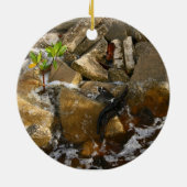 川はセメントのブロックおよびマングローブの実生植物を揺すります セラミックオーナメント (裏面)