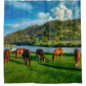 川や山の近くで放牧する馬 シャワーカーテン (正面)