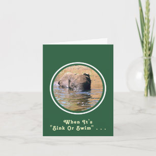 川を泳いで流れる象 カード