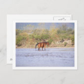 川を渡ること ポストカード (正面/裏面)