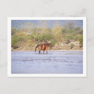 川を渡ること ポストカード