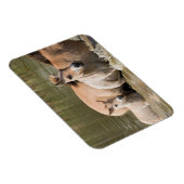 川を渡るサルとマーレ マグネット (右側)