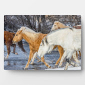 川を渡る馬 フォトプラーク (正面)