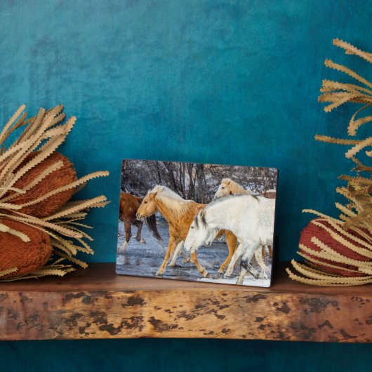 川を渡る馬 フォトプラーク (側面)