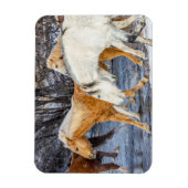 川を渡る馬 マグネット (縦)