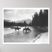 川を飲み渡る馬 ポスター (正面)