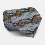 川カワウソ ネクタイ (ロール)