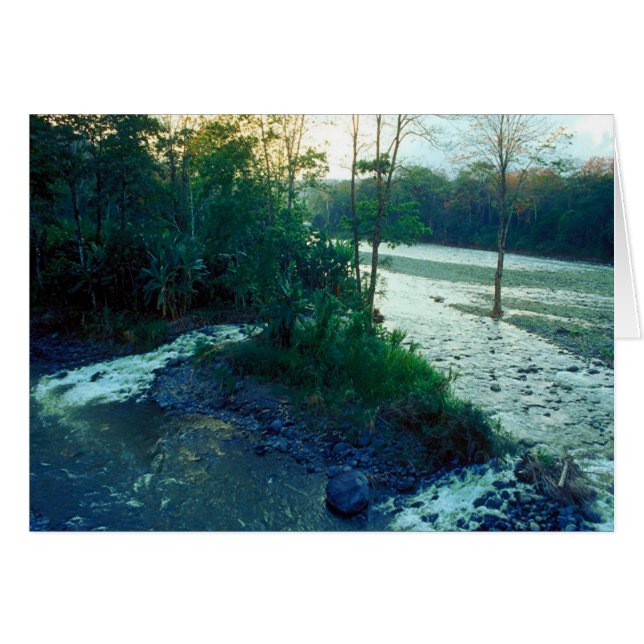 川コスタリカ (正面横)