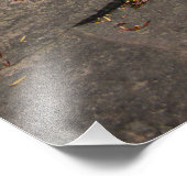 川フラットロック フォトプリント            (角)