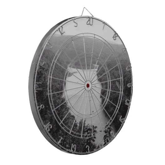 川円 ダーツボード (正面左)