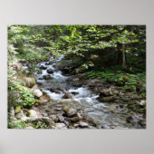 川写真ポスター ポスター (正面)