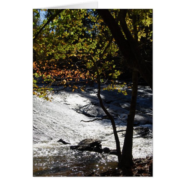 川岸の輝き (正面)