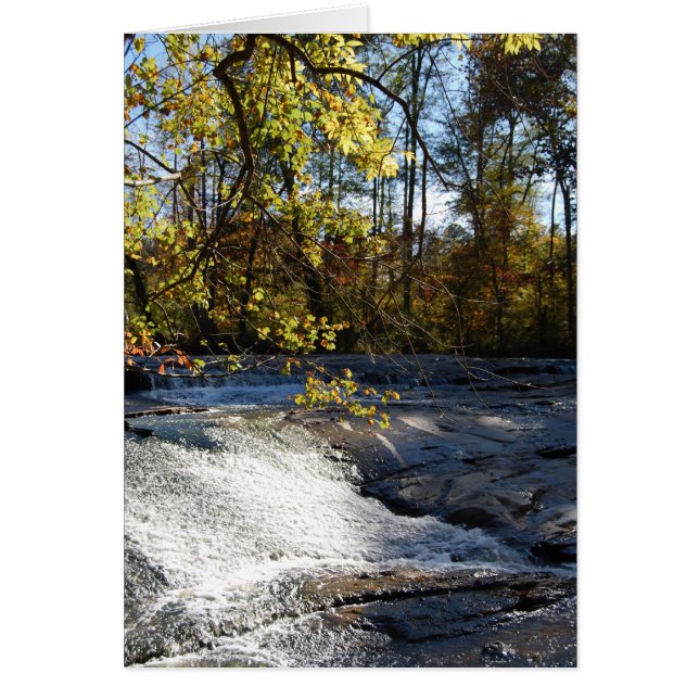 川岸の輝き2 (正面)