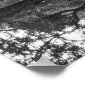 川木のポスター ポスター (角)