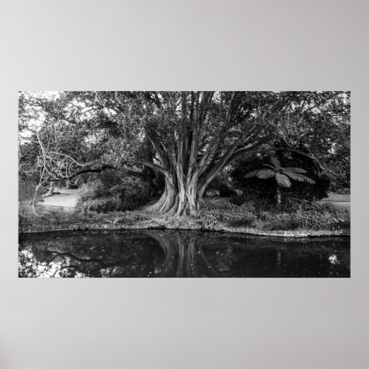 川木のポスター ポスター (正面)