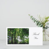 川沿いの木 – ありがとう サンキューカード (スタンド正面)