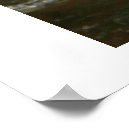 川沿いの花 ポスター (角)