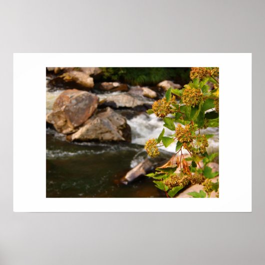 川沿いの花 ポスター (正面)