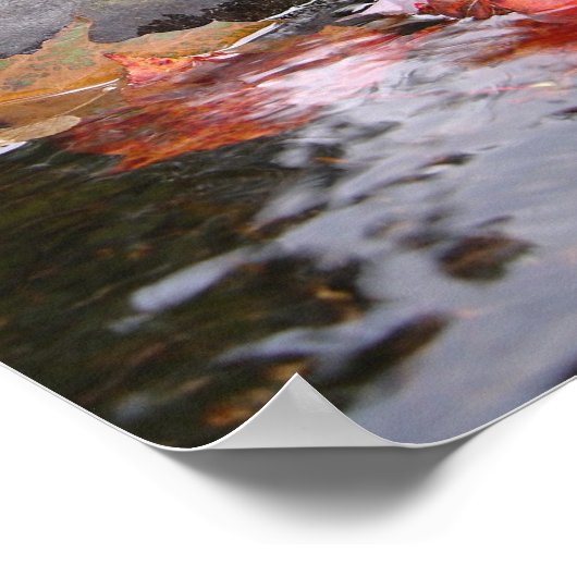 川葉 ポスター (角)