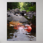 川葉 ポスター (正面)