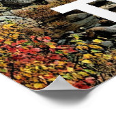 川走を通る ポスター (角)