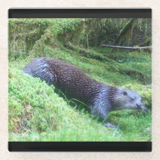 川辺のオッター 穏やかな水と動物たち 自然の風景 ガラスコースター