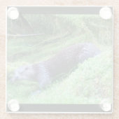 川辺のオッター　穏やかな水と動物たち　自然の風景 ガラスコースター (裏面)