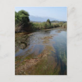 川面はがき ポストカード (正面)