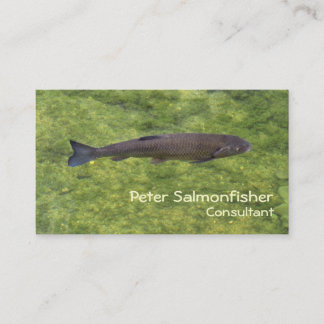 川魚が泳ぐ 名刺