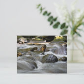 川 ポストカード (スタンド正面)