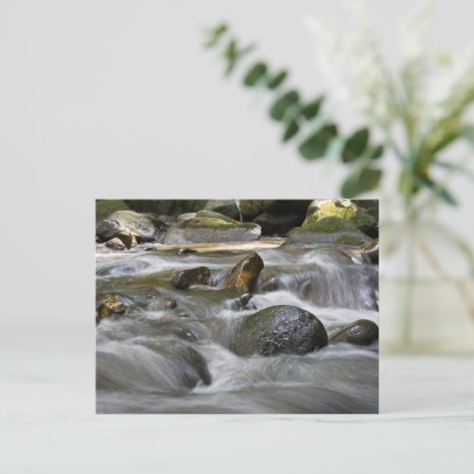 川 ポストカード (スタンド正面)