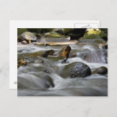 川 ポストカード (正面/裏面)