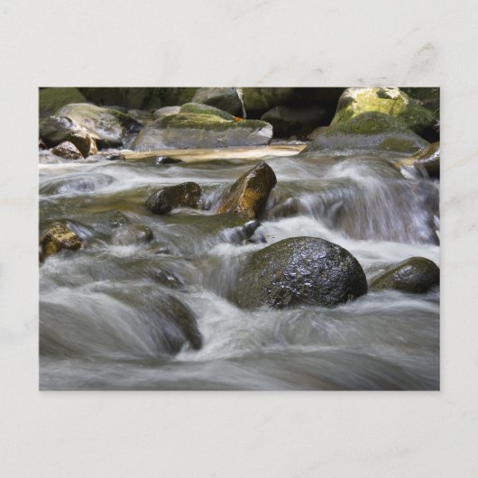 川 ポストカード (正面)