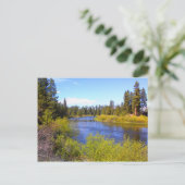 川 ポストカード (スタンド正面)