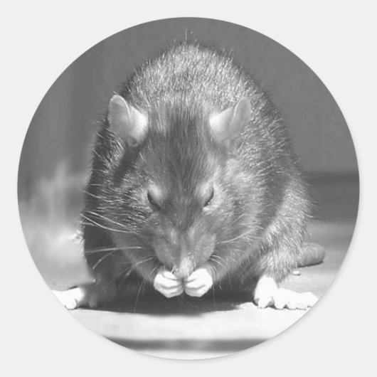 川 ラウンドシール (正面)