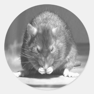 川 ラウンドシール